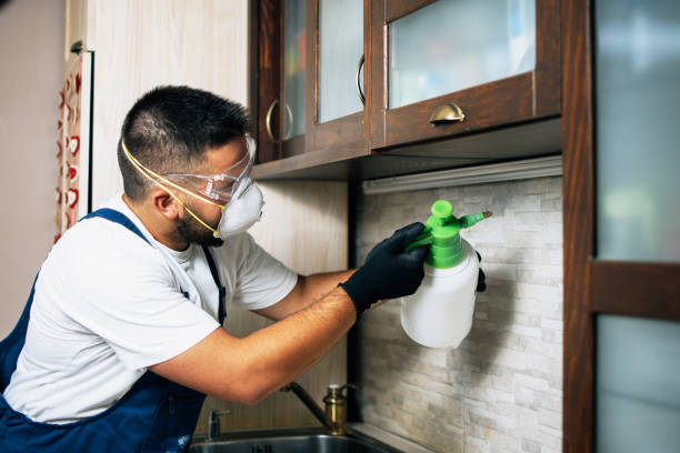 Best Insect Control  in Farmville, NC
