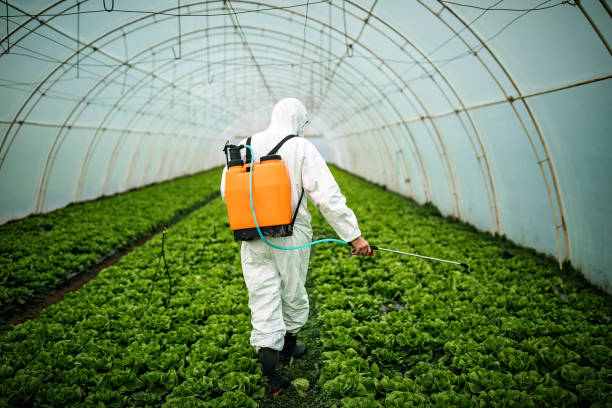 Best Residential Pest Control  in Farmville, NC