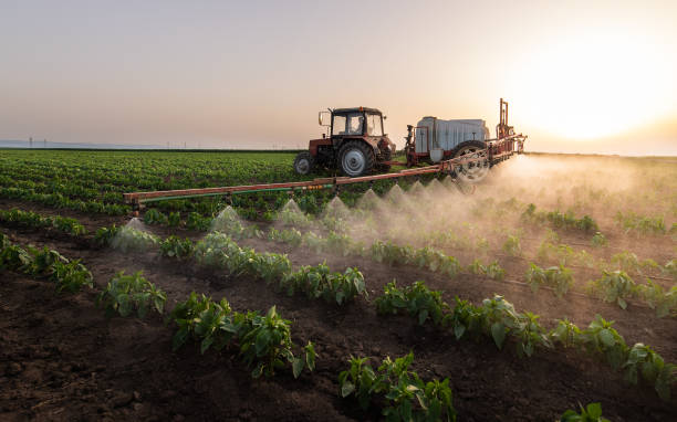 Best Mosquito Control Services  in Farmville, NC