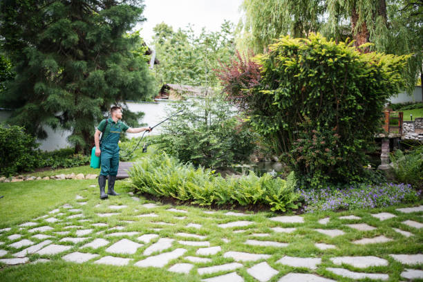 Best Wasp Removal Services  in Farmville, NC