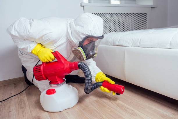Best Wasp Removal Services  in Farmville, NC