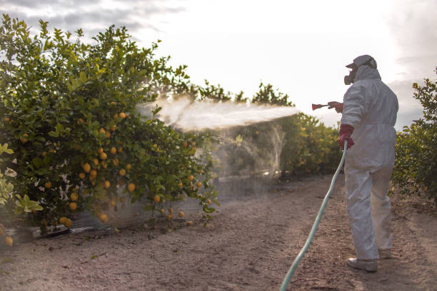 Best Commercial Pest Control Services  in Farmville, NC