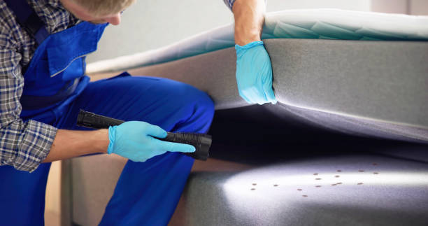 Best Best Pest Control Companies  in Farmville, NC