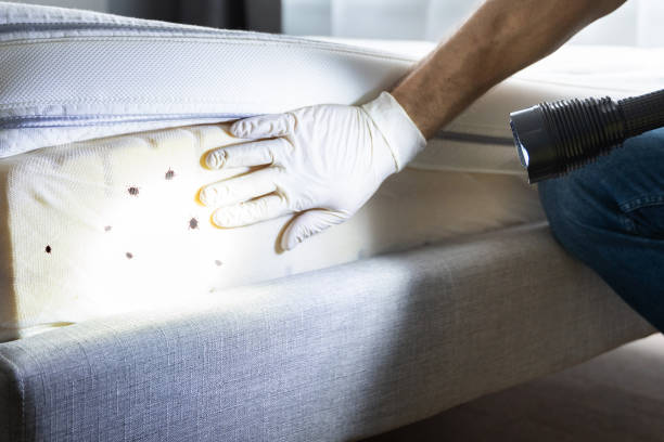Professional Pest Control in Farmville, NC