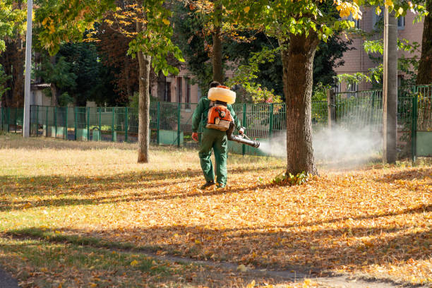 Best Bird Control  in Farmville, NC