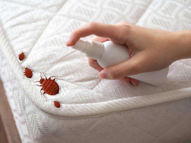 Best Insect Control  in Farmville, NC