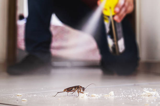 Best Flea Control Services  in Farmville, NC