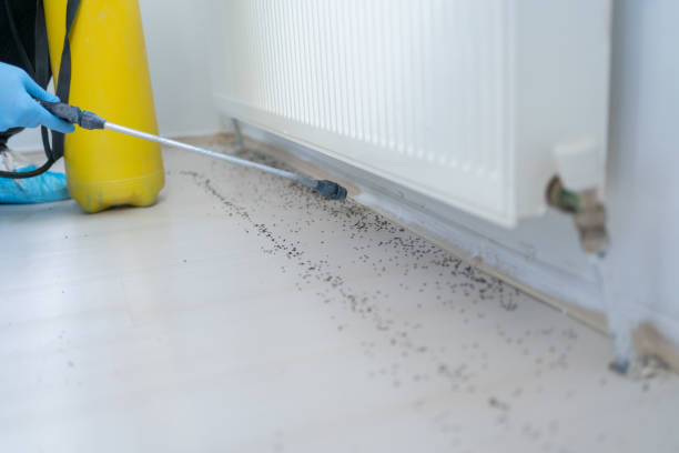 Best Best Pest Control Companies  in Farmville, NC