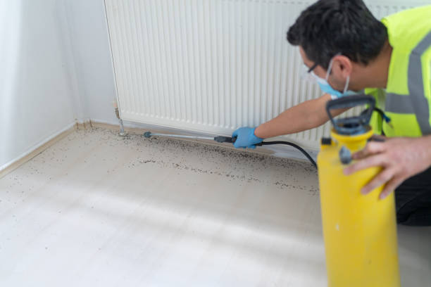 Reliable Farmville, NC Pest Control Solutions