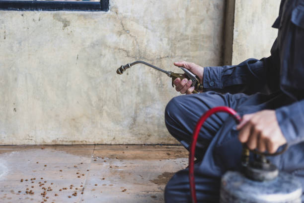 Best Affordable Pest Control Services  in Farmville, NC
