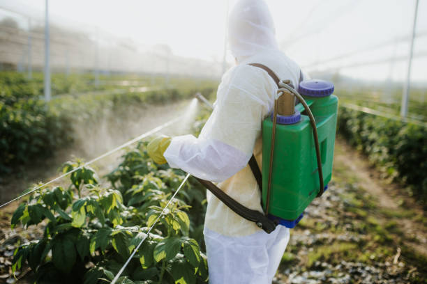 Best Best Pest Control Companies  in Farmville, NC